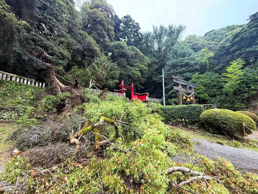 八幡宮来宮神社