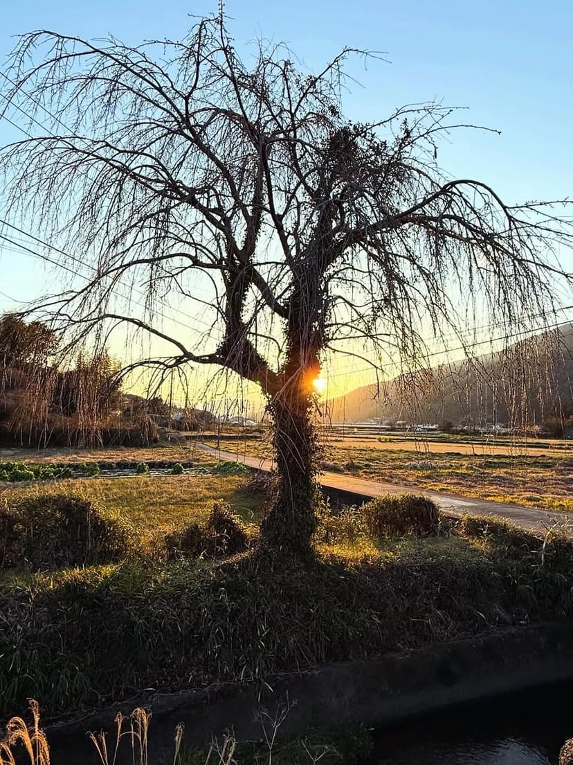 19番立江寺
