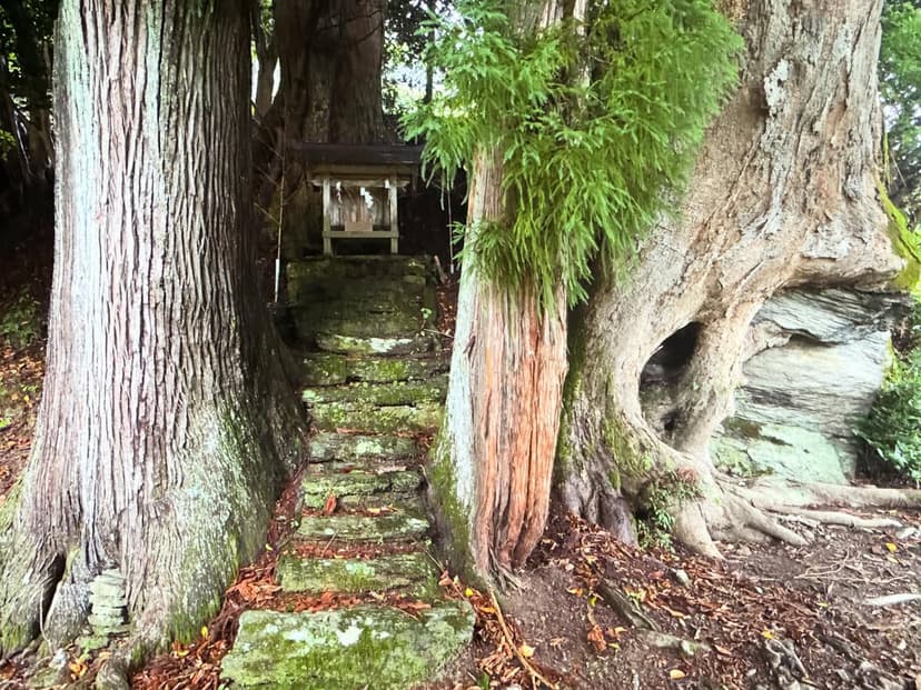 栗枝渡八幡宮（くりしとはちまんぐう）