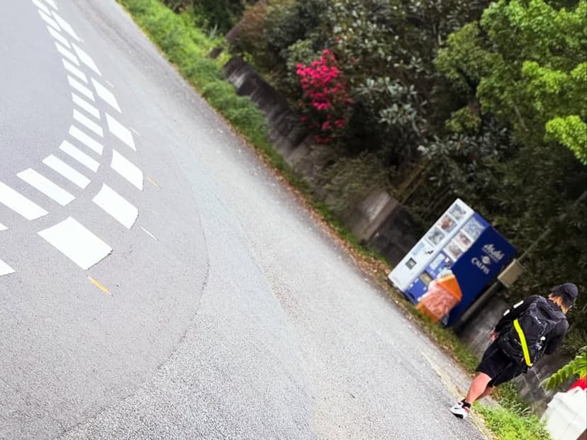 りーさんとの遭遇（峠の遍路道）