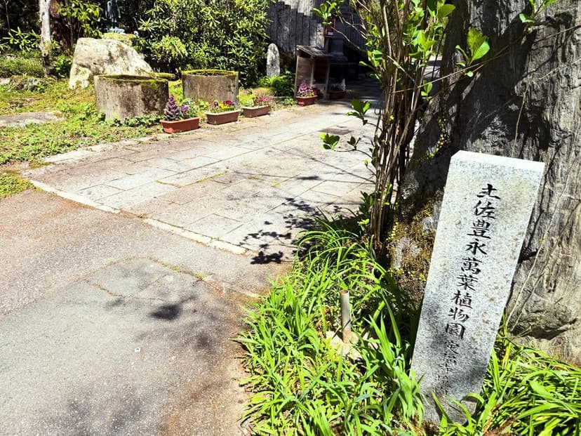 龍王の滝