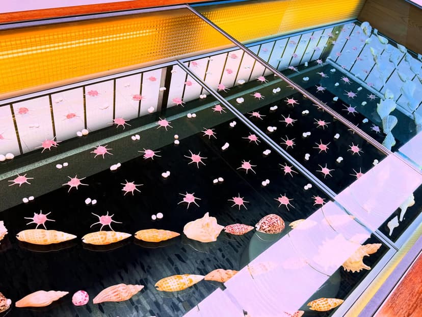 高知県立足摺海洋館 SATOUMI