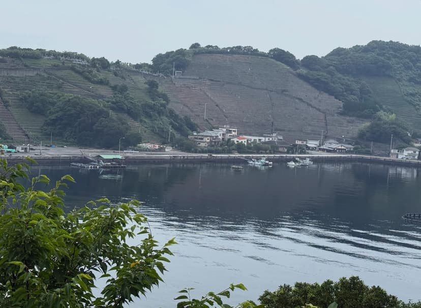 遊子水荷浦の段畑