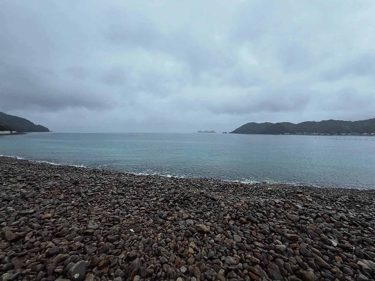 春雨の遍路道(愛南町) 6