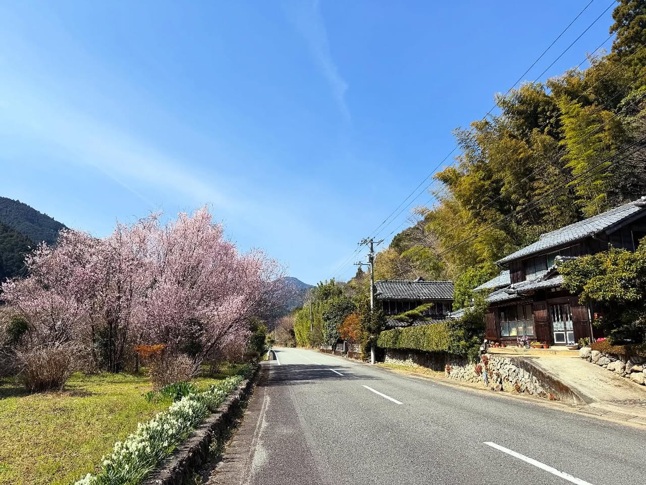 鶴林寺（20番） 2