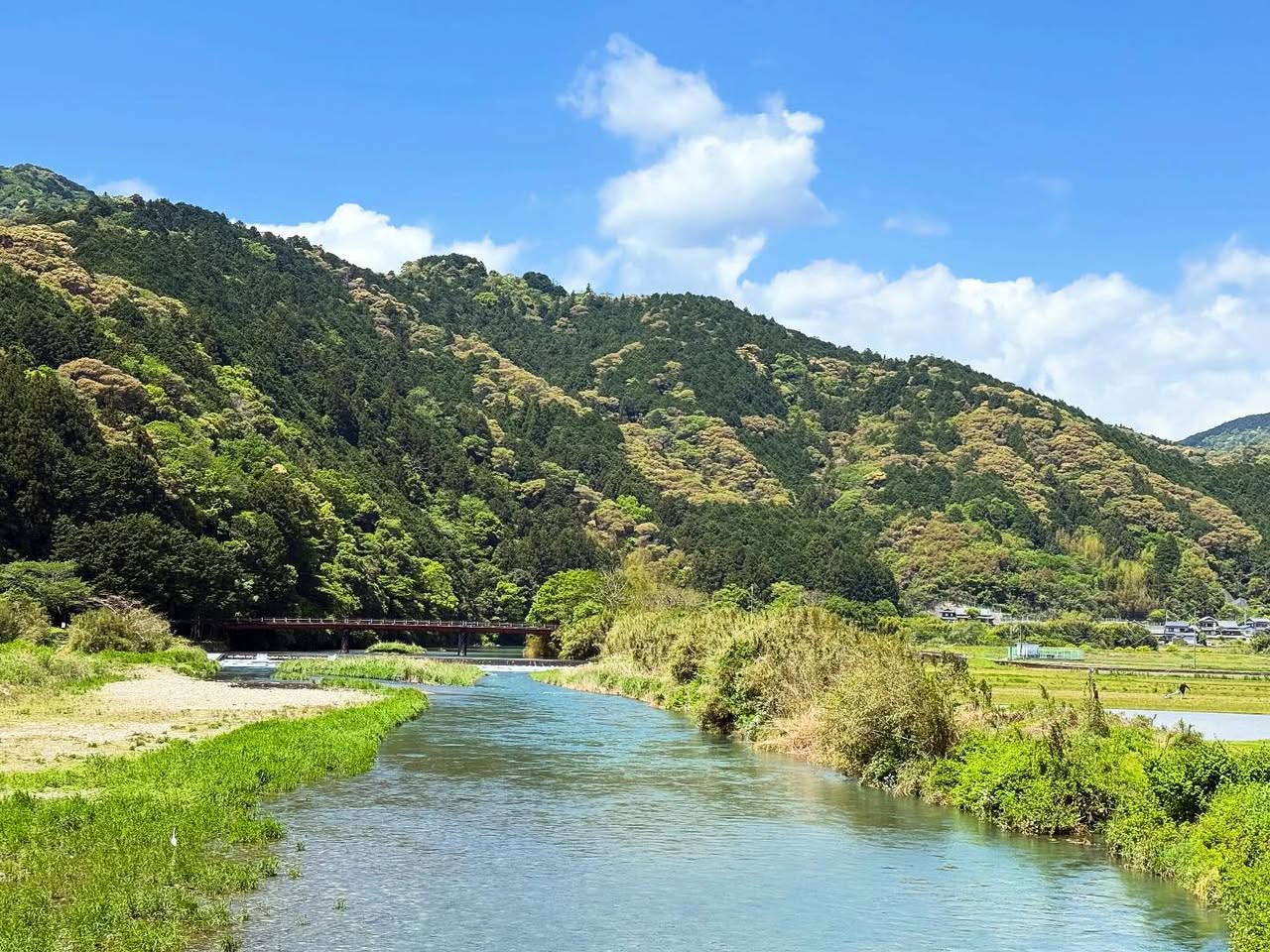仁淀川（仁淀ブルー） 5
