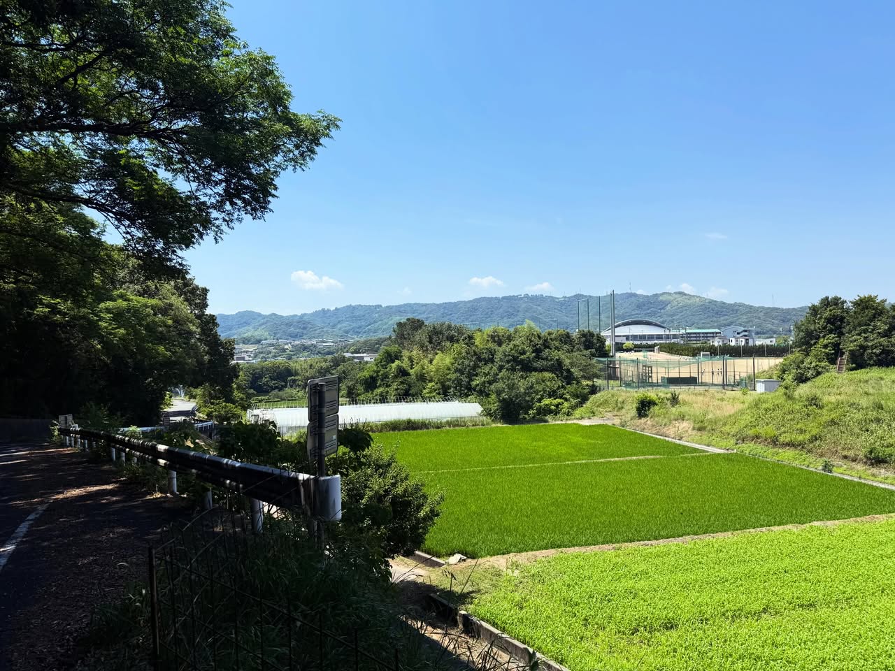 結願遍路道 五剣山〜志度海岸 1