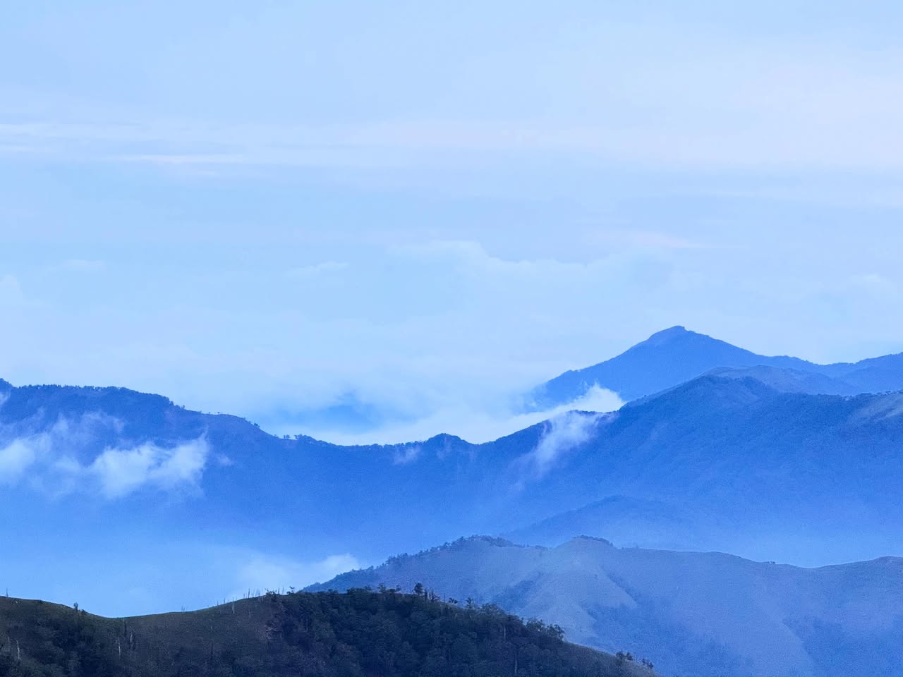 剣山(鶴亀山) 4