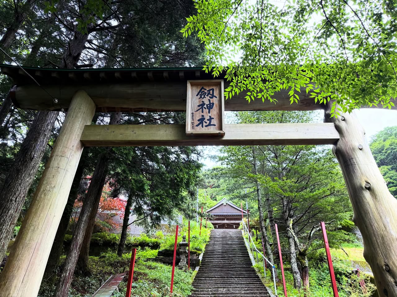 剣山(鶴亀山) 11