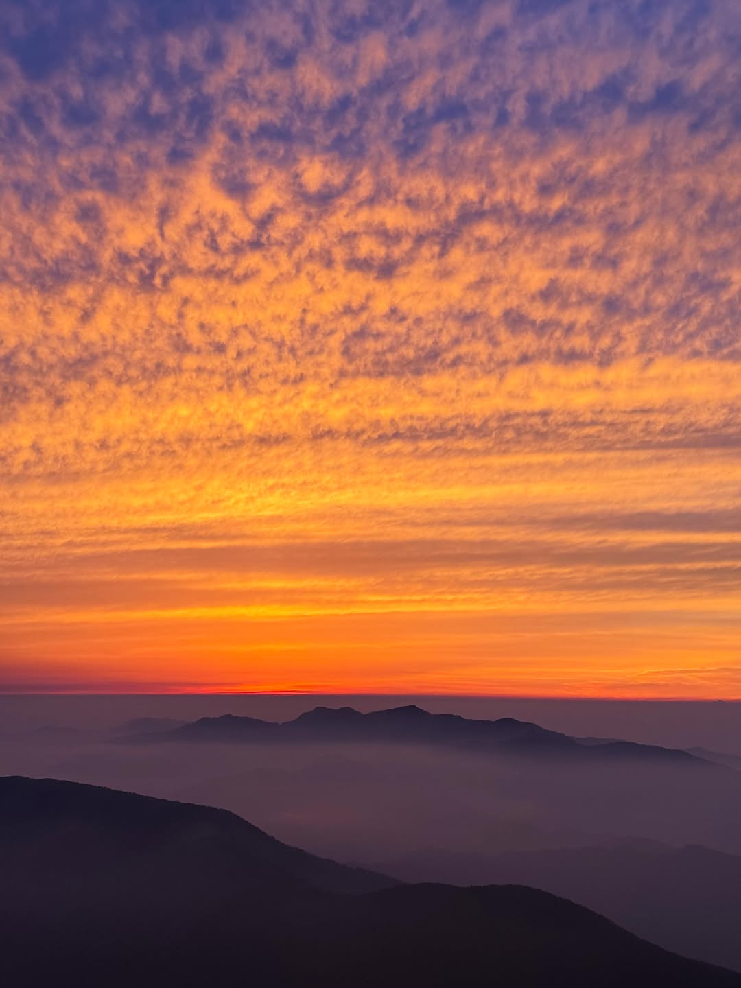 剣山(鶴亀山) 1