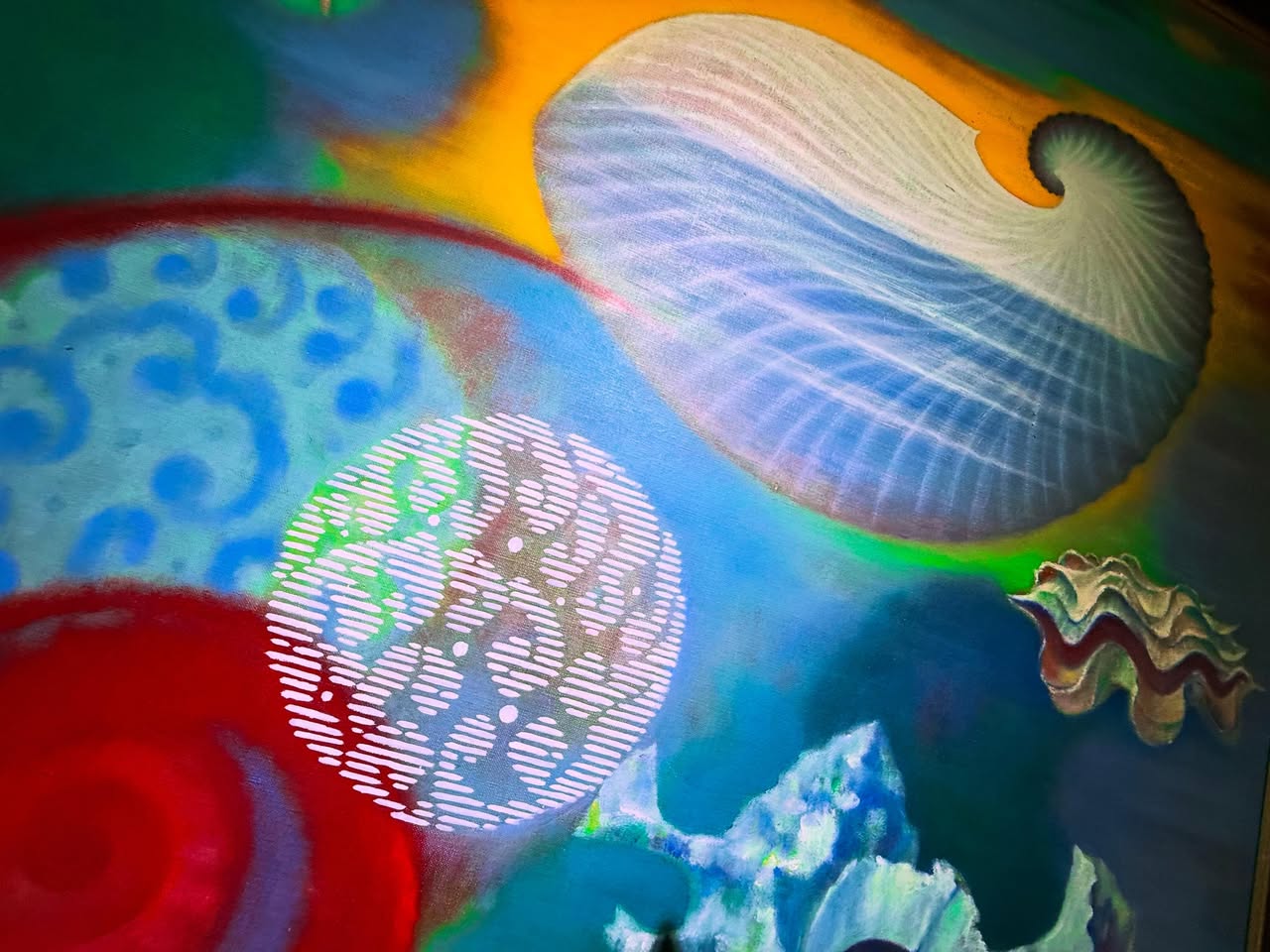 海のギャラリー 3